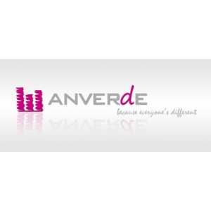 Anverde Schildersbedr. & Multidiensten Logo