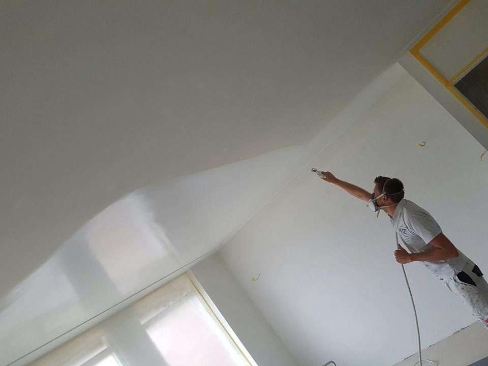 WZ Schilderwerken Bunschoten Logo