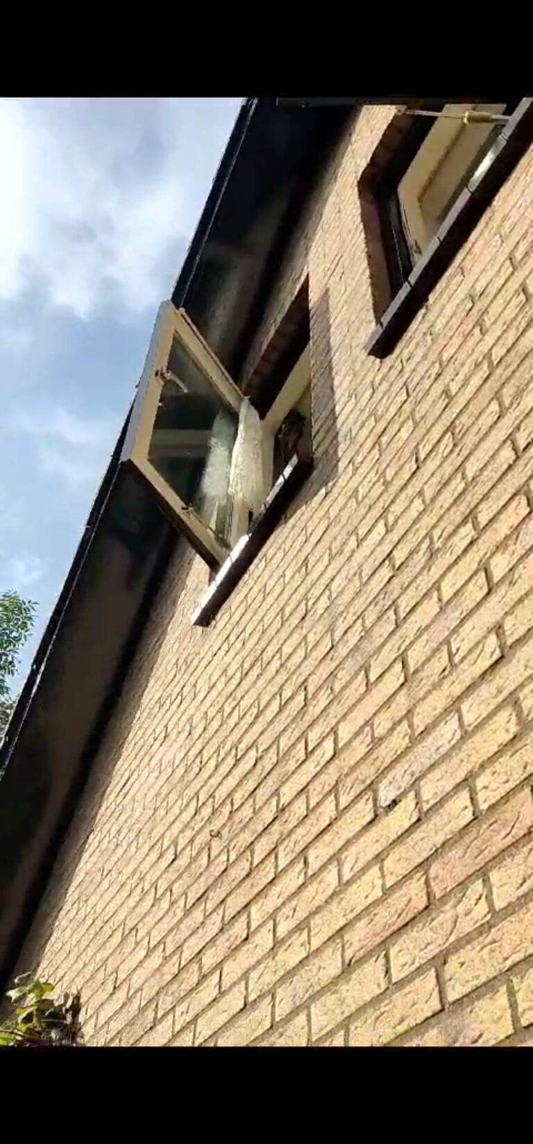 l_0e8d065eef.jpg