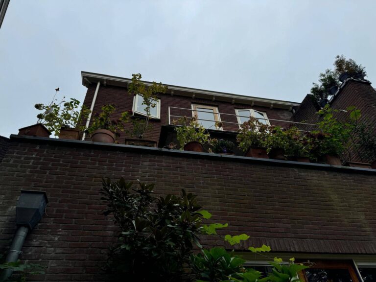 l_1e290786e0.jpg
