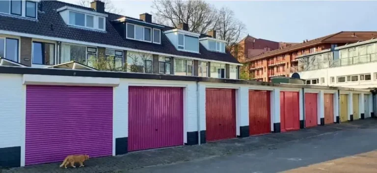 Portfolio afbeelding 6