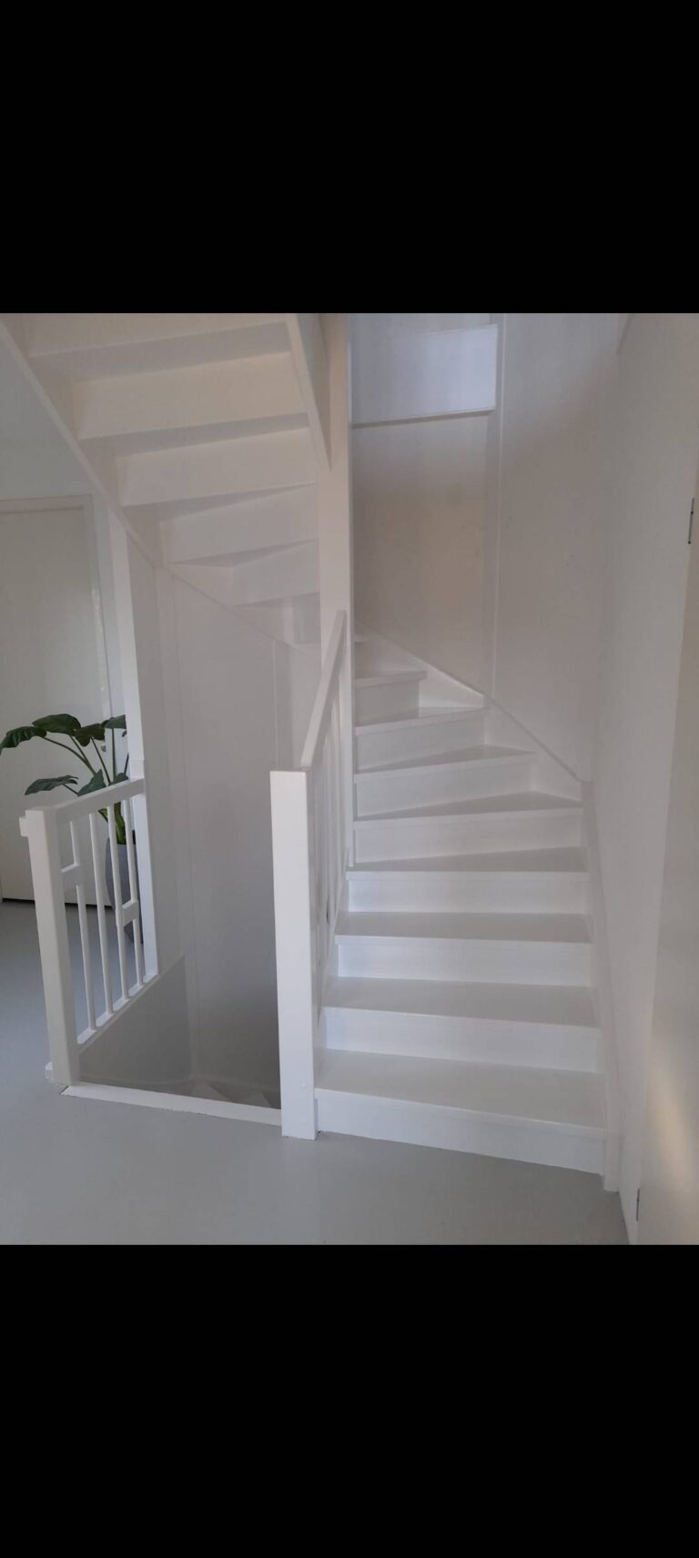 l_475e3348e4.jpg