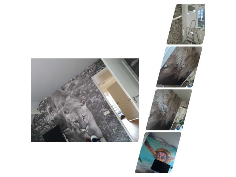 l_4f5e641347.jpg