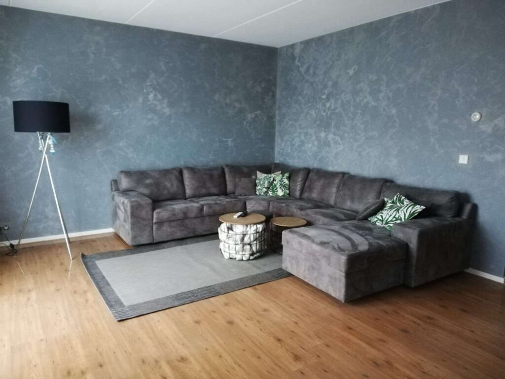 Dicky Vijver Schilderwerken Omslagfoto