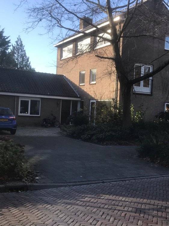 Allure schilderwerken leiden bv Logo