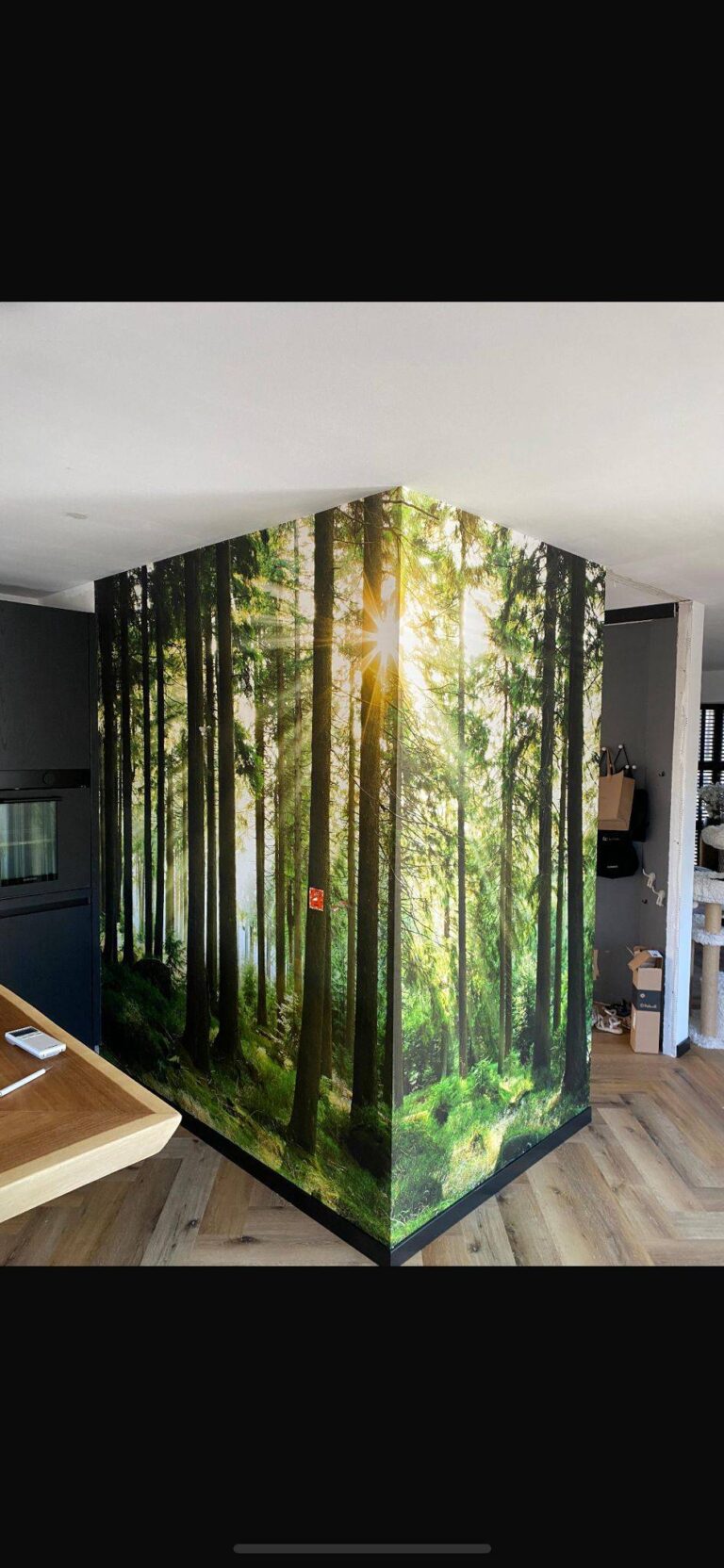 Portfolio afbeelding 5