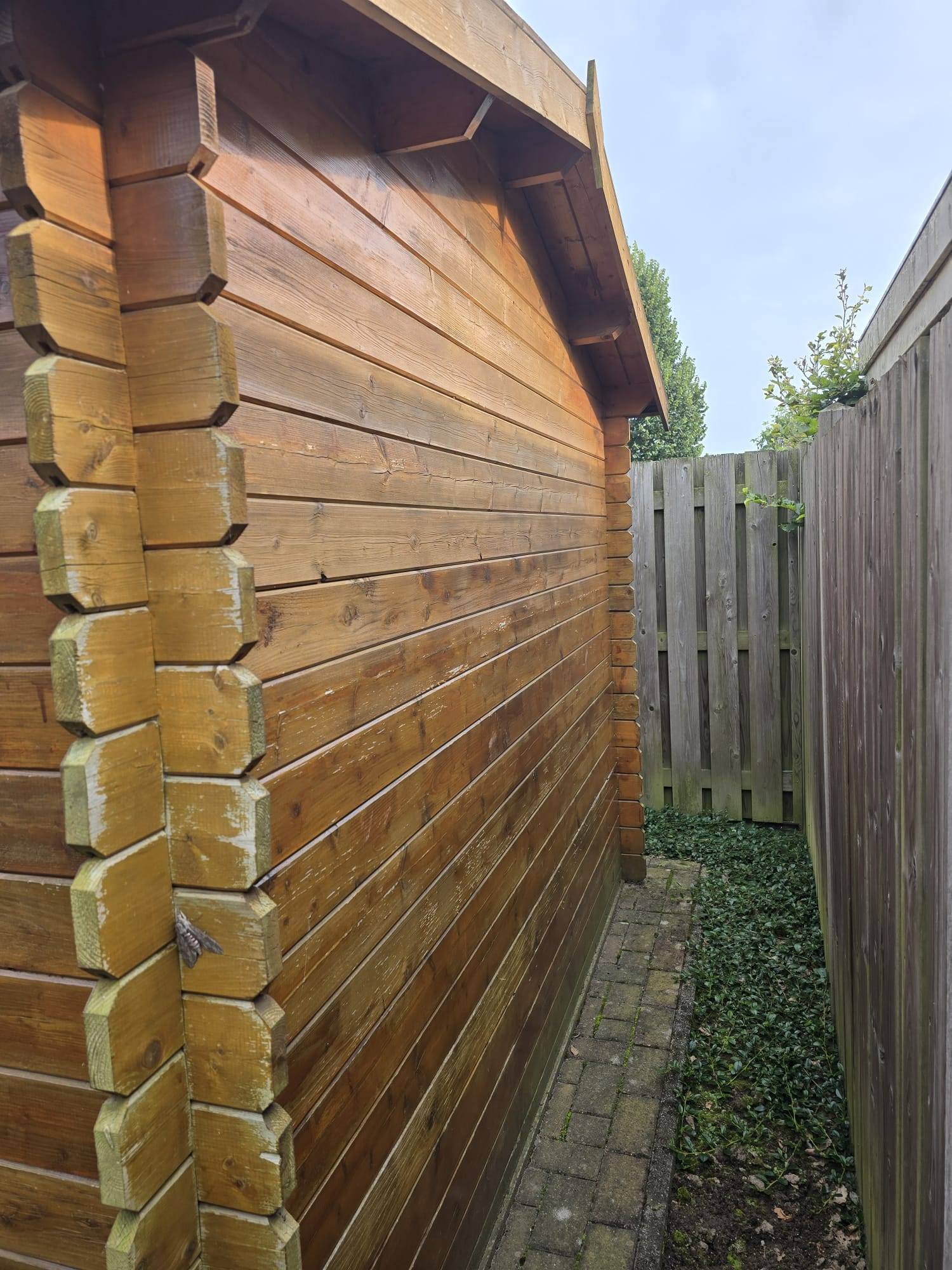 Winterink schilderwerken Logo