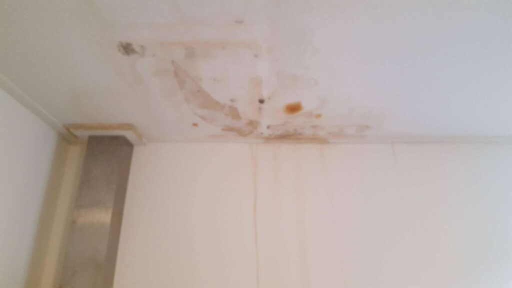 W. Veenstra Schilderwerken Omslagfoto