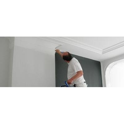 Vind een Top 10 Schilder in Den Haag Logo