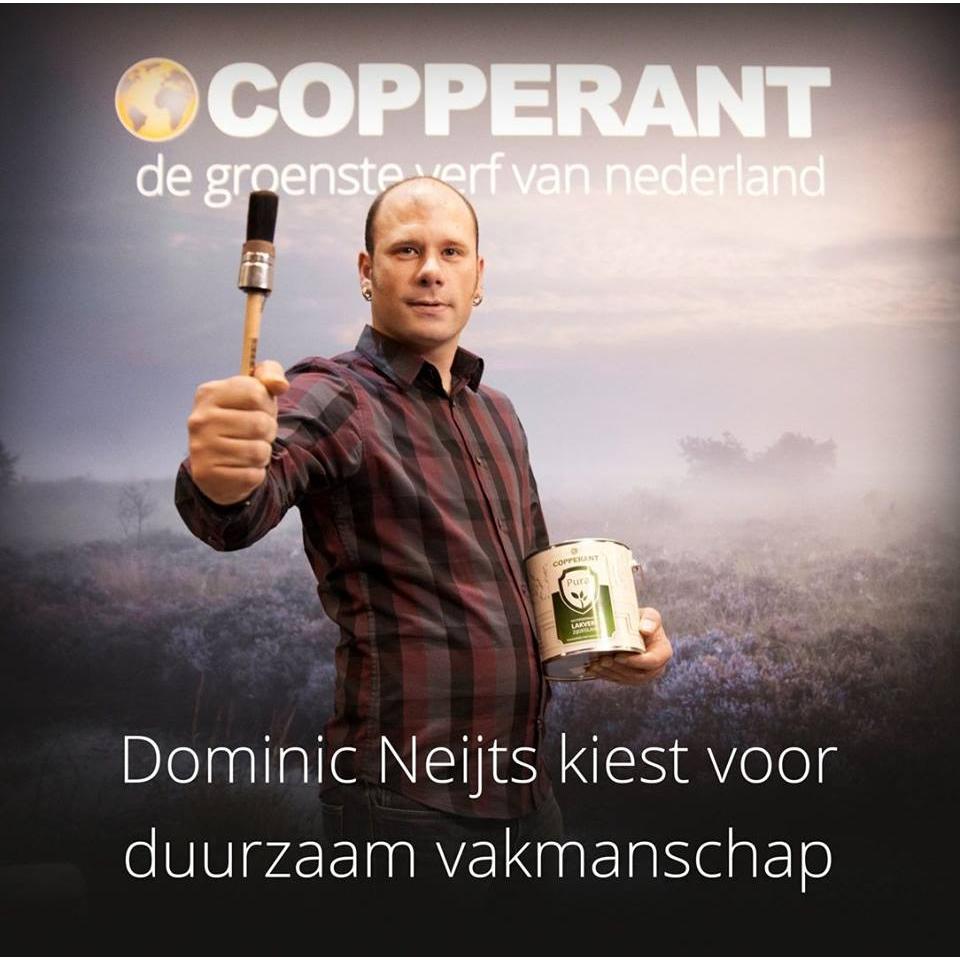 D.T. Neijts onderhoud&schilderwerk Logo