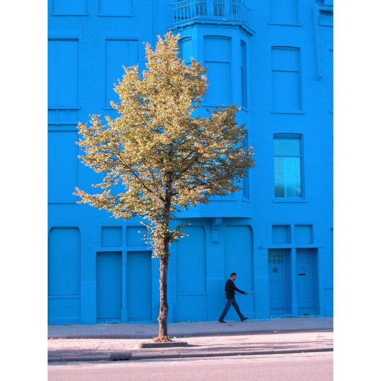 l_avatar_large