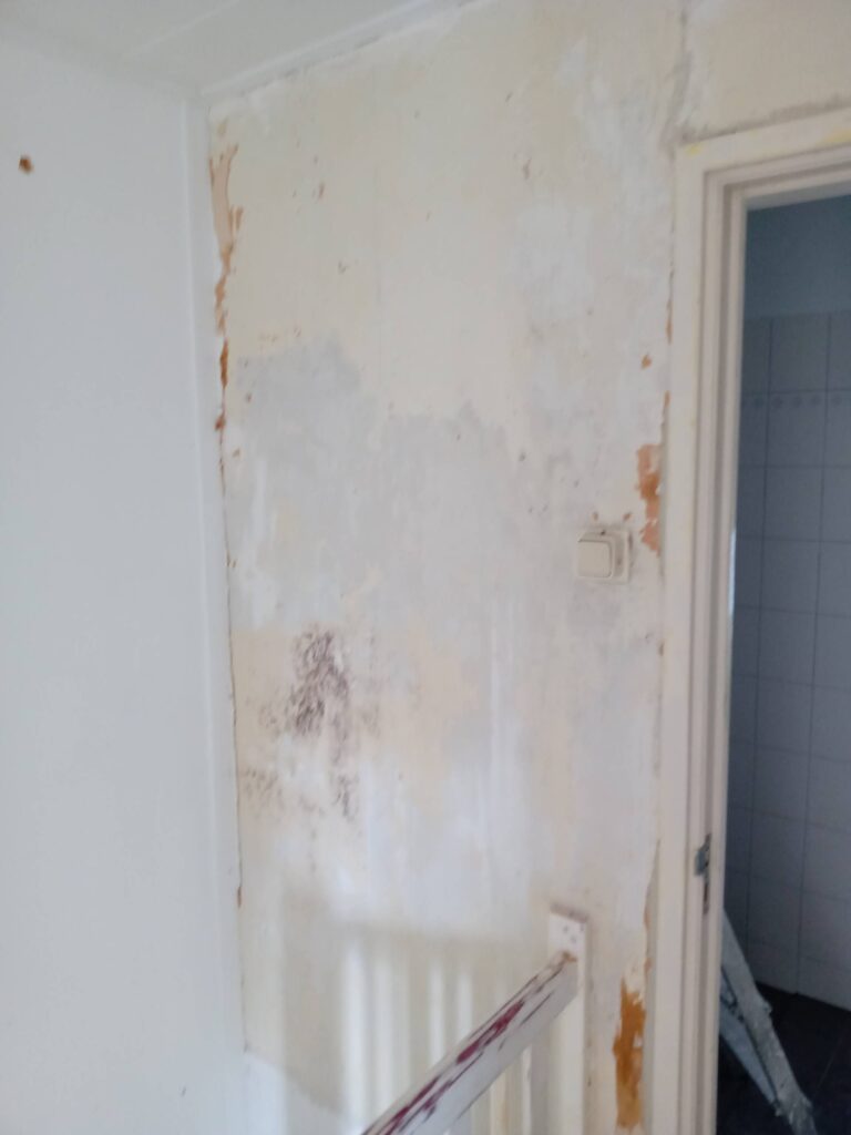 l_b557f6ef37.jpg