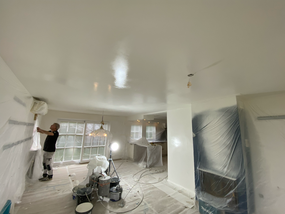 Skilldr schilderwerken Logo