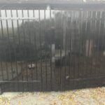 Stalhuis Afbeelding 1