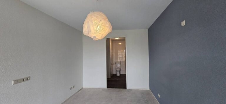l_d6396d6576.jpg