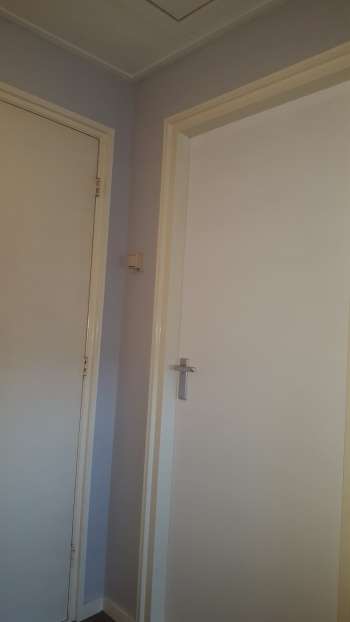 Dragon Painting Logo