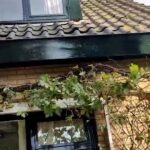 prachtig huis Afbeelding 3