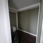 Den Haag Green and White Afbeelding 1