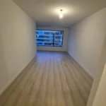 Pondsteiger Afbeelding 1