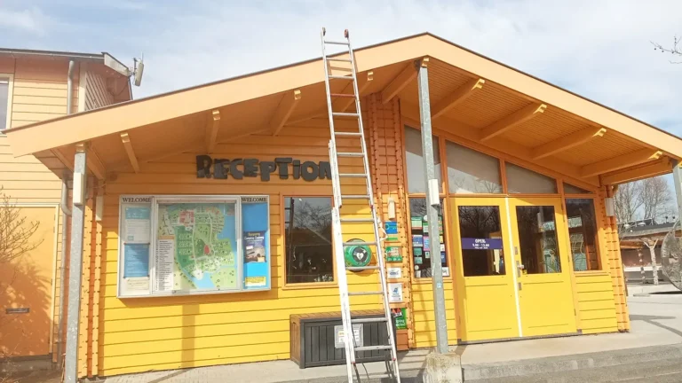 Portfolio afbeelding 2