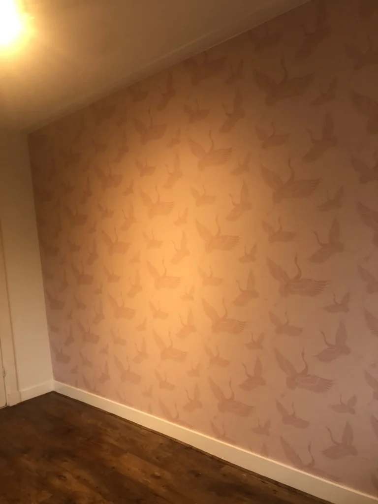 Portfolio afbeelding 2