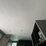 Plafond Afbeelding 1