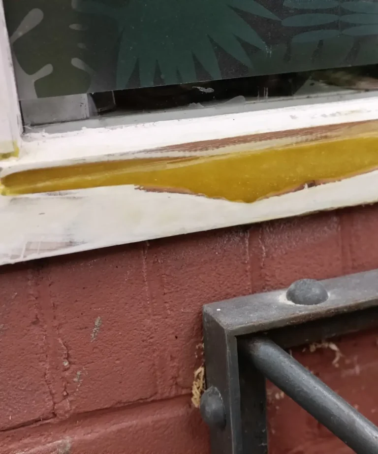 Portfolio afbeelding 2