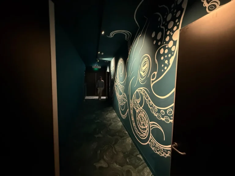 Portfolio afbeelding 5