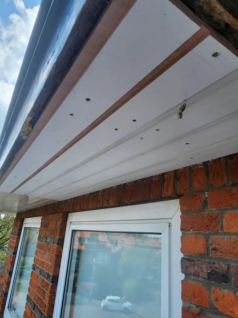 Portfolio afbeelding 5