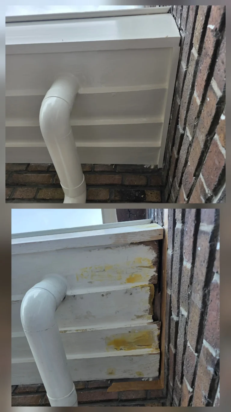 Portfolio afbeelding 5