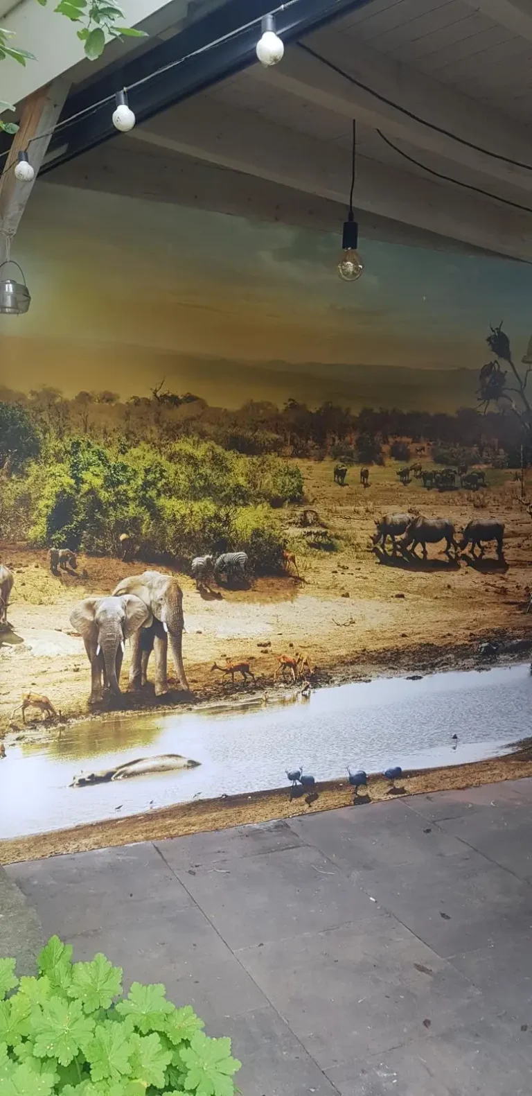 Portfolio afbeelding 3