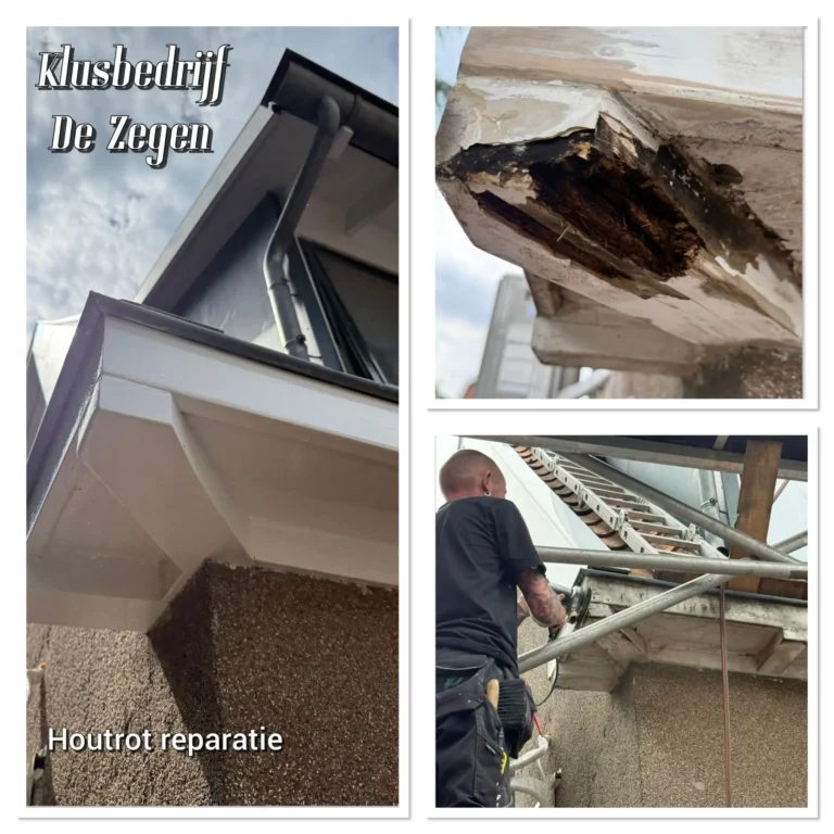 Portfolio afbeelding 4