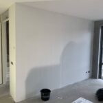 Renovlies Afbeelding 1