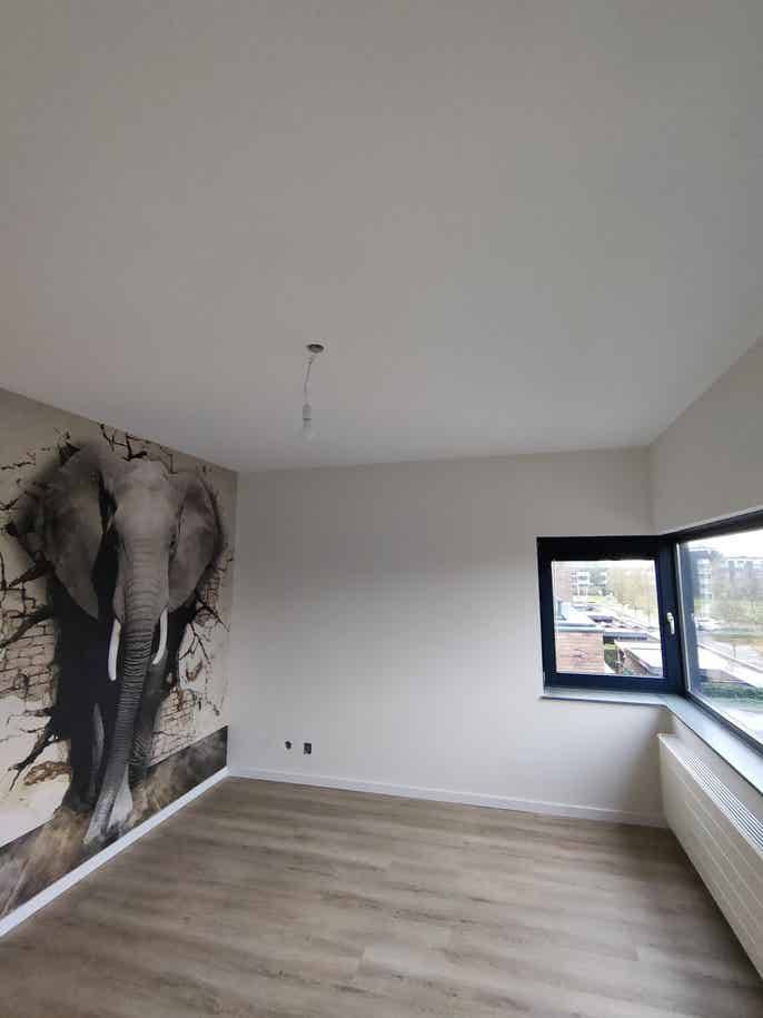 Stukadoorsbedrijf Strak en Glad Logo