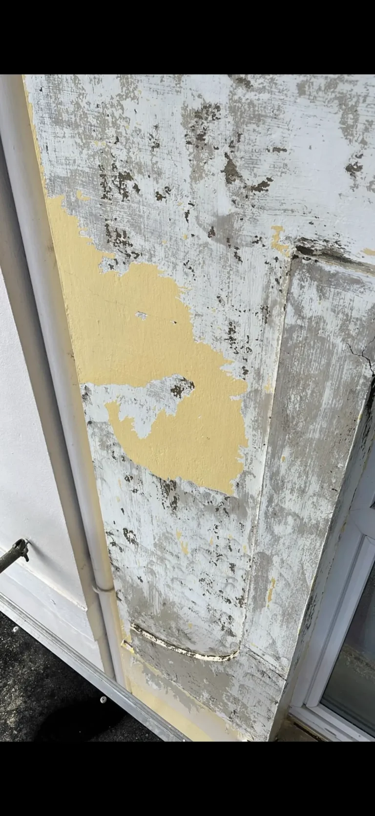 Portfolio afbeelding 6