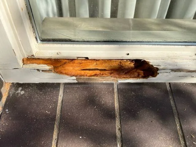 Portfolio afbeelding 6