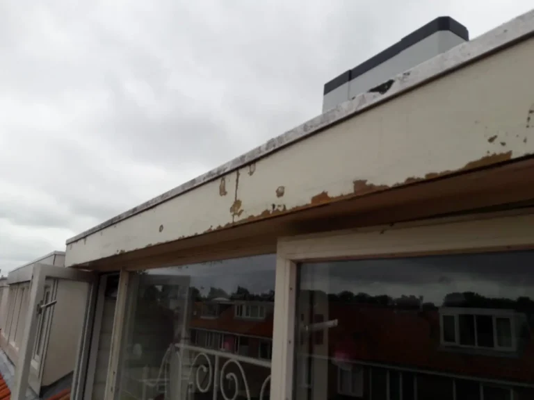 Portfolio afbeelding 5