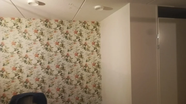 Portfolio afbeelding 3