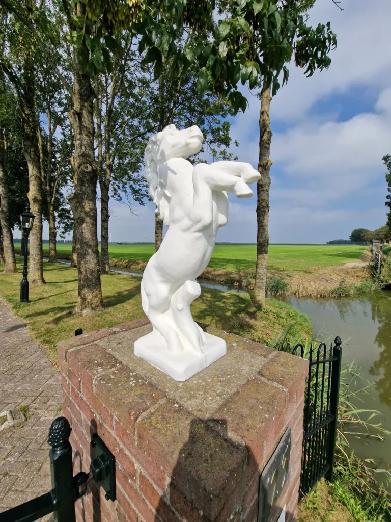 Portfolio afbeelding 4