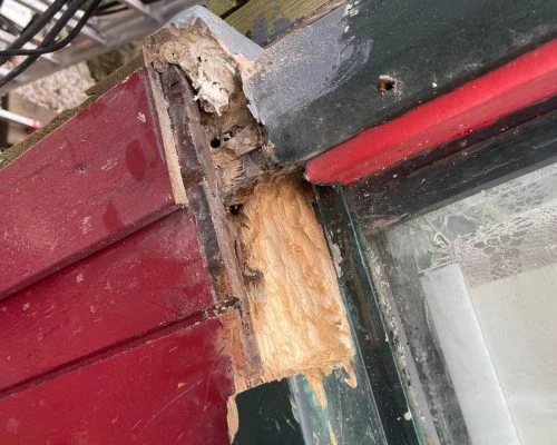 Portfolio afbeelding 5