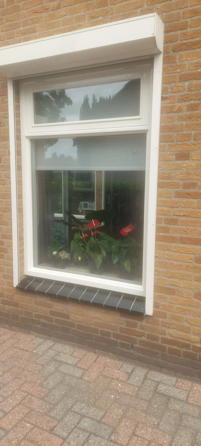 Portfolio afbeelding 5